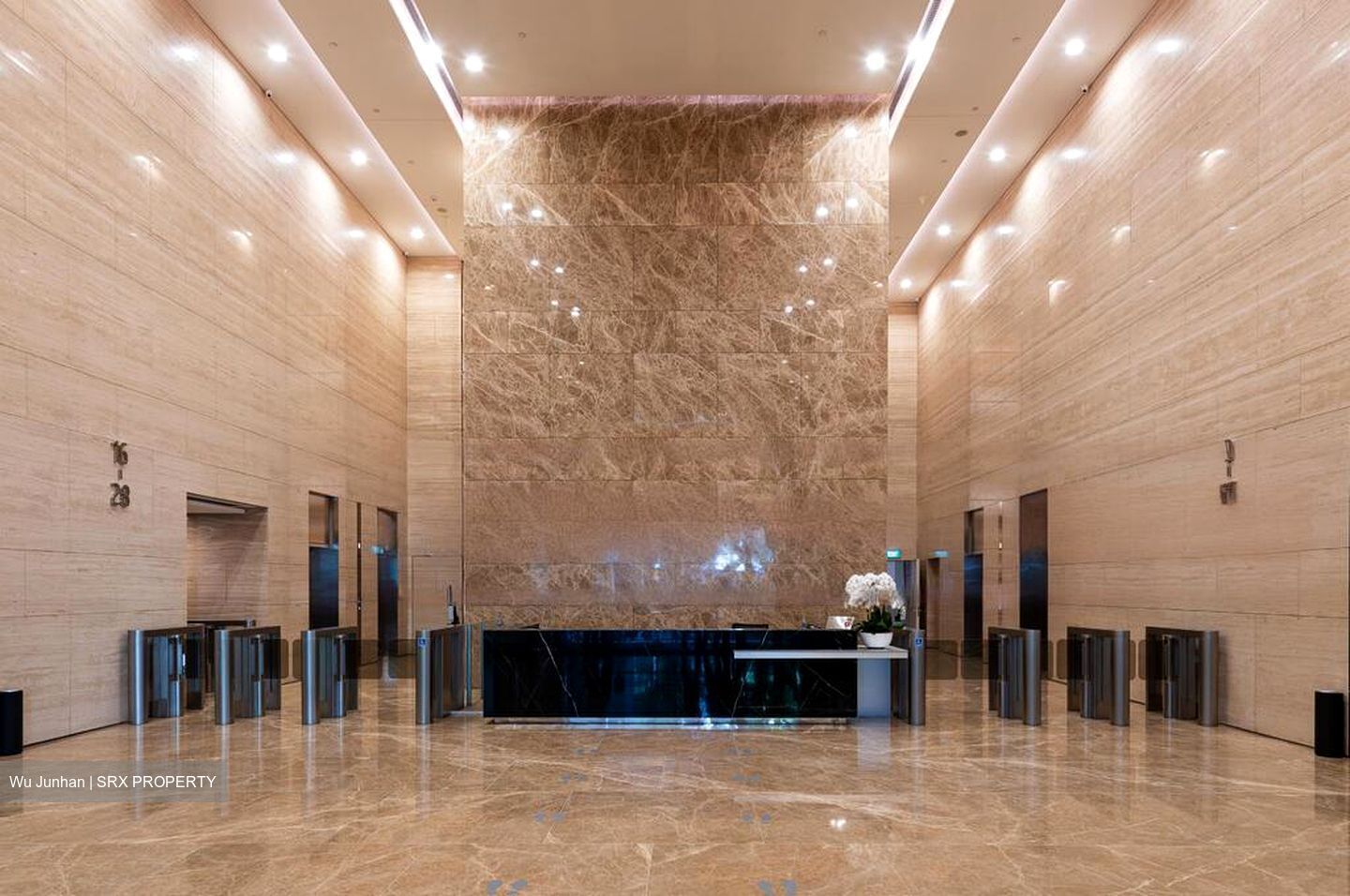 PLUS (D1), Office #485420971